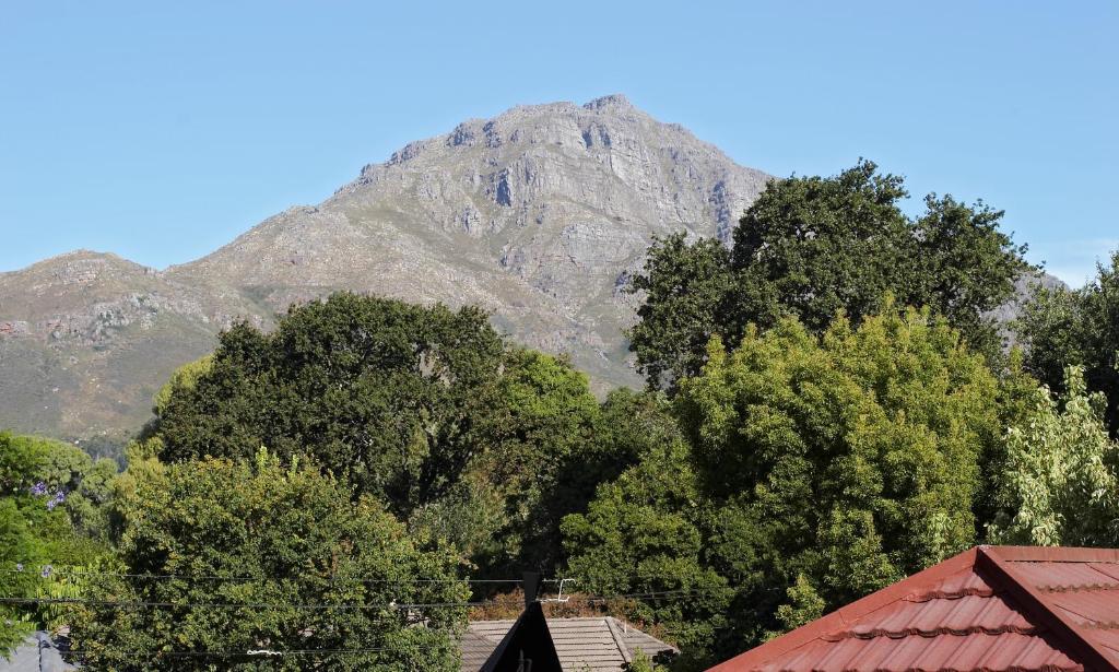Oak Village B&B Stellenbosch Zimmer foto